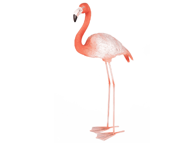 63946_flamingo_road_1