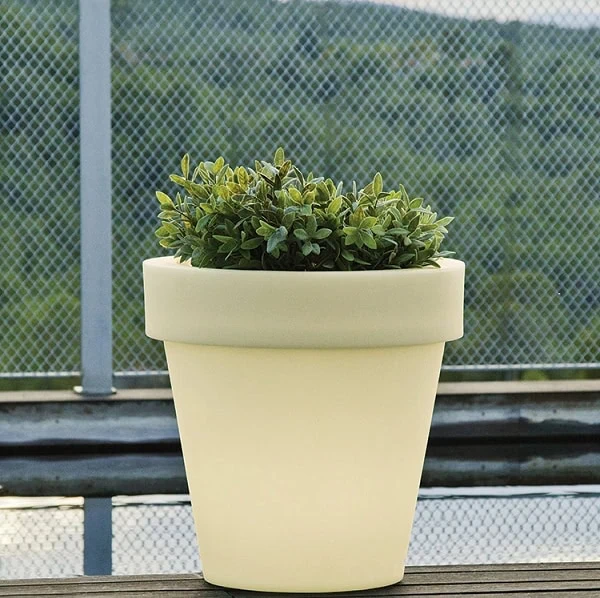 LUMMG045OFNW_MAGNOLIA451