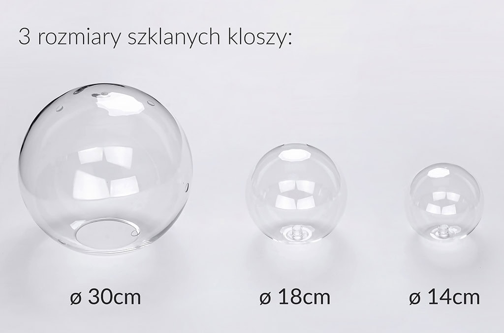 XCP9148-1A.CHROM_capri4_10a